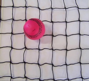 lot 115 image: XL Black Sports Net - Great for Many things - Protection net, Batting Cage, Behind Basketball goal, etc 20 x 10 Minimum
