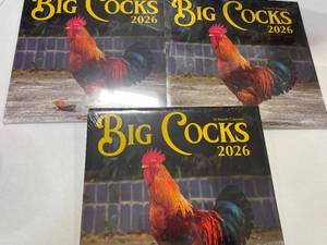 lot 5453 image: 3 Pack 2026 Rooster Wall Calendar  Funny Chicken Daddies Calendar  Big Cocks Birds Monthly 12 Month  Chicken Calendar 2026  Adults Joke Prank Gift  12x24 Wall Calendar