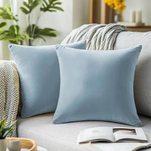 lot 4590 image: QUORGVES Light Blue Velvet Pillow Covers 22x22 Inch Set of 2, Soft Solid Decorative Square Throw Pillow Covers, Decor Cushion Covers for Bed Sofa Couch Bedroom Living Room - Coastal Sky Baby Blue