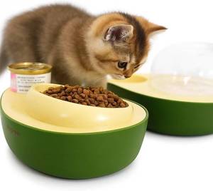 lot 4607 image: Cat Food and Water Bowl   Avocado Cat Bowl with Water Dispenser Pet Bowl& Small Dogs, Non-Spill, Anti-Choke, Eco-Friendly Dog Feeding Bowl Water Fountain 3-in-1 (Green&Yellow)