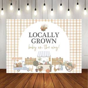 lot 4778 image: Lofaris Locally Grown Baby Shower Backdrop Vegetable and Fruit Baby Shower Decorations Farmers Market Decoration Backdrop for Kids Boy Girl Decorations Party Photo Props 7x5ft