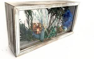 lot 5918 image: WANLIAN Shadow Box Frame - 26x13 cm Clear Double Sided Picture Frame for Desktop Postcards, Commemorative Photos, Animal & Plant Herbarium (Washed White)
