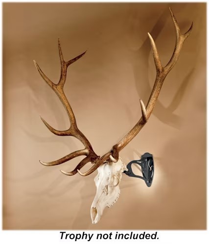 lot 12726 image: Skull Hooker European Trophy Mounting Systems - Little Hooker - Black