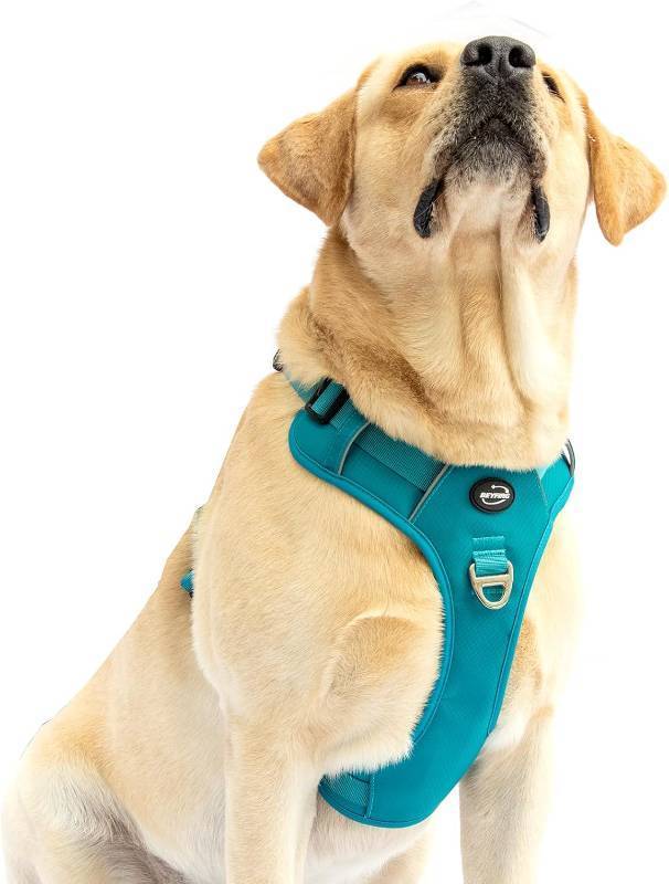lot 2028 image: BEYFIRG_ No Pull Harness for Small Dogs,Lightweight & Adjustable Reflective Pet Vest Harness Easy Control Handle for Walking (Teal, Small)