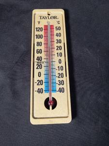 lot 4684 image: Taylor Indoor Outdoor Wall Thermometer