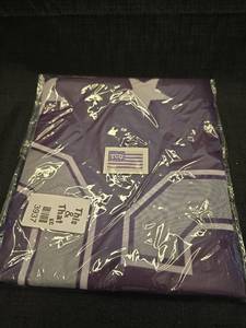 lot 5034 image: TCU Horned Frogs Military Style double cited 5 x 3 flag