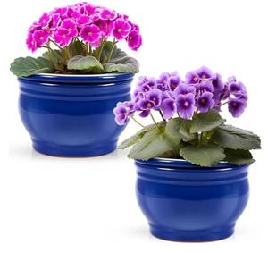 lot 36743 image: 2 Set 6 Inches African Violet Pots Ceramic Self Watering Pots for Indoor Plants with Highly Absorbent Inner - Retail $42
