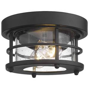 lot 36779 image: 2-Light Round Ceiling Light Fixture, Farmhouse Flush Mount Ceiling Light 10 Inch, Black Finish, WE2085F BK - Retail $63
