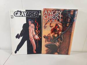 lot 248 image: Image Comics Bundle - The Gray Area #1 and Angry Christ Comix