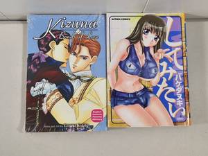 lot 322 image: Adult Manga Comic Book Bundle - Kizuna Bonds of Love and Action Comics