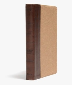 lot 6764 image: KJV Rainbow Study Bible, BrownTan LeatherTouch, Black Letter, Pure Cambridge Text, Color Coded, Bible Study Helps, Reading Plans, Full-Color Maps, Easy to Read Bible MCM Type Imitation Leather