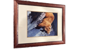 lot 4017 image: 19x23 #14500 Framed Brown Bear Fishing Photograph