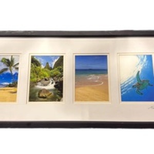 lot 4020 image: 14x30 Tropical Beach and Marine Life Framed Photo Collection