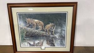 lot 4039 image: 28x33 Charles Frace Reflections Cougar Limited Edition Framed Print