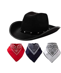 lot 4089 image: Cowboy hat and bandana Halloween  - Retail $0