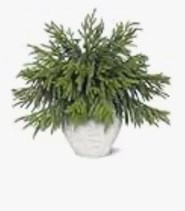 lot 4153 image: HUZIYAHAN Christmas Norfolk Pine Stems -18Inch Artificial Christmas Green Plants Branch Faux Greenery Branches Pine Picks for Vase DIY Crafts Xmas Garland Wreath Indoor Outdoor Home Holiday Decor (8) - Retail $0