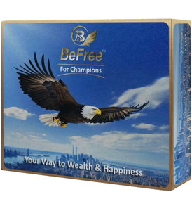 lot 4201 image: BeFree for Champions �� Financial Literacy Board Game for Adults & Teens (14), Money & Risk Management, Investing & Cash Flow, Achieve Life Goals  Fun Strategy Family Game - Retail $0