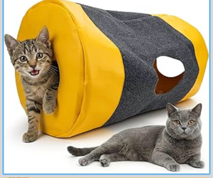 lot 4203 image: Homrich Multifunctional Collapsible Cat Play Bag, Indoor Cat Tunnel Activity Center Mat, Durable Rug for Hide and Seek, Scratching Sleeping Running Interactive Toys for Bored Kitten Adult Cats - Retail $0