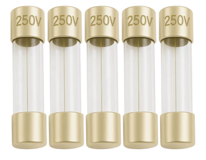 lot 4354 image: 10A (10 Amp) GMA Glass Fuses, 5x20mm (0.20 x 0.79inches), 250V Fast-Blow, Fast Acting Fuses for Electronics, Appliances, and Circuit Protection, 5 Pack - Retail $0