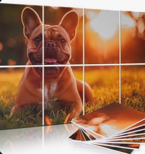 lot 4365 image: QUEENLINK 8 Pack Art Acoustic Panels, 48 x 32 Soundproof Wall Panels, Decorative Sound Absorbing Panels, Sound Dampening Panels, Acoustic Treatment for Recording Studio, Home, Office - Bulldog - Retail $0
