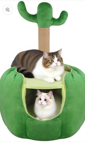 lot 4397 image: Qlfyuu Cat Houses for Indoor Cats, Small Cat Tree with Sisal Ropes and Plush Perch, Cute Cat Bed Cave with Soft Pillow, Cactus Design - Retail $0