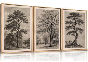 lot 4454 image: Vintage Sketch Tree Framed Canvas Wall Art Set,Modern Nature Botanical Wall Decor, Antique Wilderness Tree Artwork,Minimalist Neutral Art Prints for Living Room,Bedroom,Farmhouse-24 x36 x3 - Retail $100