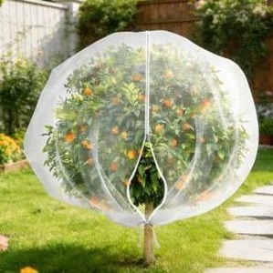 lot 13256 image: Fruit Tree Netting Cover