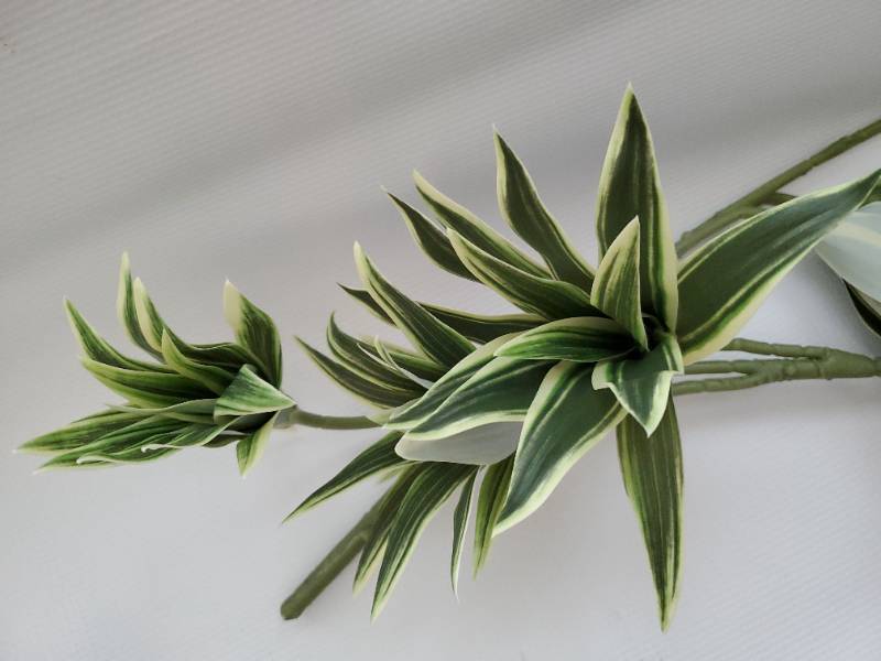 lot 62400 image: Artificial Dracaena Reflexa Plant, Fake Plastic Branches 18.5 Realistic Shrubs Leaves Stems Faux Plants for Indoor Outdoor Bathroom Potted Wedding Party Planter Filler DIY Decoration Yellow 2 Pack - Retail $15