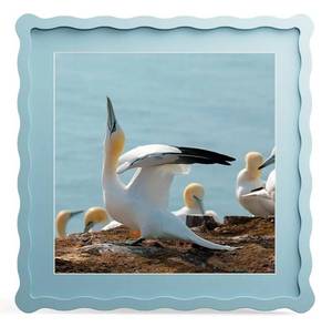 lot 45960 image: 12x12 Picture Frame with Mat for 10x10, Wavy Edge Wooden Real Glass Photo Frame for Wall Hanging - Retail $26