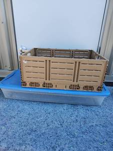 lot 152 image: Collapsible Plastic Storage Crate with Ventilated Sides