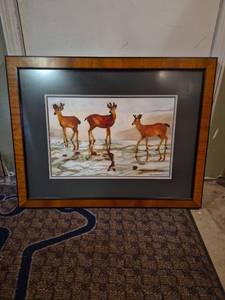 lot 215 image: Framed Deer Wildlife Print by Artist