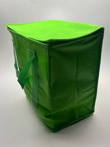 lot 201 image: Green Insulated Cooler Bag with Thermal Lining
