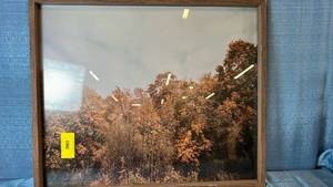 lot 2027 image: Threshold 36x30 Golden Forrest Framed Glass Wall Art.