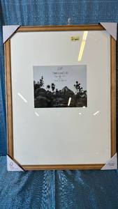 lot 2042 image: Threshold Gallery Frame 19x25 Matted To 8x10.