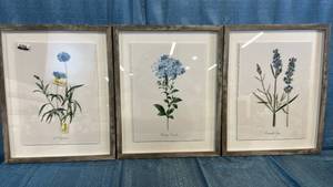 lot 2091 image: Set Of 3 Framed Wall Art 16x20.