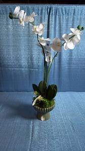 lot 8055 image: Artificial Orchid and Succulent Arrangement in Fluted Ceramic Planter