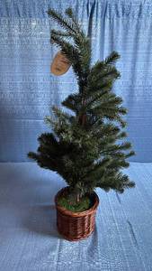 lot 8059 image: Threshold Studio McGee 30 Artificial Spruce Tree with Wicker Basket