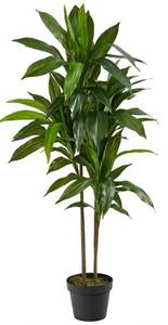 lot 8107 image: Nearly Natural 36 in Dracaena Fake Plant, Large Indoor Silk Plant with 64 Real Touch Leaves, Multi Tonal Trunks, Black Nursery Planter, Maintenance Free Home Decor