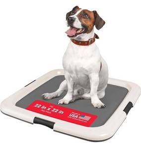 lot 8140 image: IRIS USA Pee Pad Holder for Dogs and Puppies, Potty Training Tray with Secured Latches, Non-Skid Feet, Leak Protection, Easy Clean Surface, Fits 22x 22 Puppy Pads Size or Larger, Dark Gray