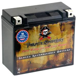 lot 8176 image: Pirate Battery YTX20HL-BS 310 CCA Maintenance-Free 12V 19Ah Battery Replacement for ATV, Harley Davidson Motorcycle, Jet Skis, Scooter, UTV, and More - Nut and Bolt (T3) Terminal