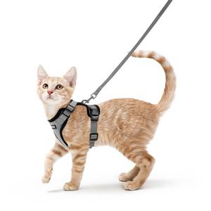 lot 8499 image: rabbitgoo Cat Harness and Leash for Walking, Escape Proof Soft Adjustable Vest Harnesses for Cats, Easy Control Breathable Reflective Strips Jacket, Grey, S
