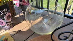 lot 40319 image: Clear Glass Fish Bowl terrarium
