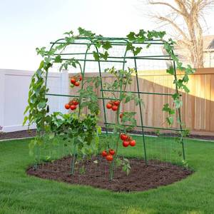 lot 3913 image: HIRALIY Garden Arch Trellis for Climbing Plants, 6.3ft Tall Heavy Duty Metal Cucumber Trellis, Rustproof Plant Support Tunnel for Tomato, Grape, Bean, Raised Bed and Vegetable Gardens, Green
