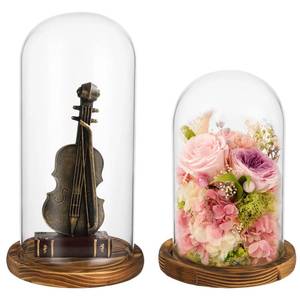 lot 5892 image: 2 PCS Glass Cloche Display Dome with Wooden Base, 7.510 Inch Glass Display Cloche Dome, Clear Glass Dome Showcase for Flowers, Art Pieces, Collectibles, Keepsakes, Home Office Decor (2PCS)
