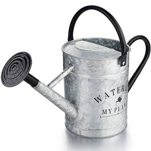 lot 5895 image: Garutom Galvanized Watering Can for Outdoor Indoor Plants, 1 Gallon Decorative Countryside Style Water Can with Removable Spout, Perfect Metal Watering Can for Indoor Plants and Garden Flower