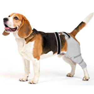 lot 6224 image: Joypig Dog Sleeve for Rear Legs to Stop Licking, Upgraded Surgical Recovery Sleeve for Hind Back Leg Wound,TPLO, ACL Surgery, Light Comfortable Cone Alternative (S,Black-Gray)