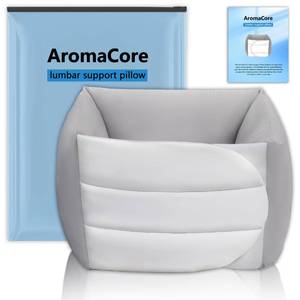lot 14003 image: AromaCore Lumbar Support Pillow,Adjustablearomacore Spinal Support,Spinal Recovery System,Sleeping Back Support for Sleep with 360° Ergonomic Design & Breathable Cotton Fabric. (XL)