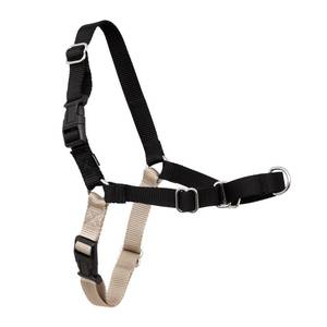 lot 14439 image: PetSafe Easy Walk No-Pull Dog Harness - Ultimate Harness to Help Stop Pulling - Pull-Free Walks - Take Control & Teach Better Leash Manners - Patented Martingale Loop Design - Black, Medium