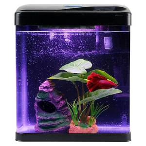 lot 13202 image: Betta Fish Tank Self Cleaning Glass 2 Gallon Small Nano Aquarium Starter Kits Desktop Room Decor wLED Light Decorations & Whisper Filters Water Pump (Fish Tank)