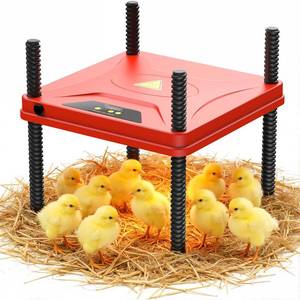 lot 19820 image: Chick Brooder Heating Plate for Winter, Chick Heating Plate with Thermal Protector, Adjustable Temp & Height, Energy Efficient Heater, 10x10 for 10-12 Chicks